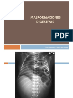 Malformaciones Digestivas