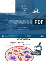 Hemograma PDF