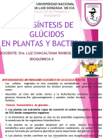 Biosintesis Glucidos PDF