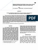 1 PB PDF