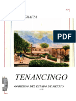 Tenancingo 1975 PDF