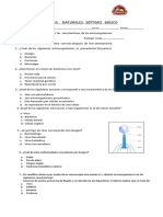 Prueba 7º Microrganismos.