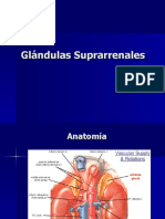 Glándulas