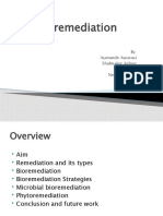 Bioremediation: by Ayotunde Awosusi Shalmalee Aidoor Di Cui Neesha Kotian Qi Tang