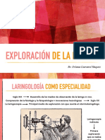 Exploración de La Laringe