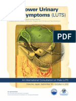 Male Lower Urinary Tract Symptoms (LUTS) PDF