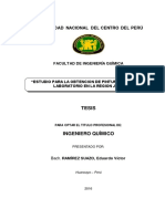 Ramirez Suazo PDF