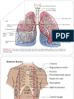 Assessment of Respiratory System