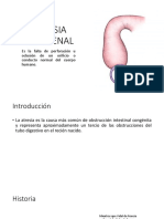 Atresia Duodenal