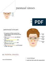 The Paranasal Sinuses