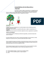 Diagramas Representativos de La Dirección y Sentido de Las Fuerzas Fisica 7 Basico