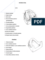 Protesis Total