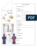 Nclex Neuro