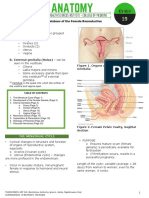 Female Reproductive System