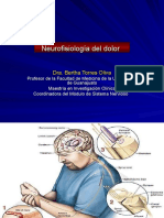 Neurofisiologia Del Dolor 2 PPT Share)