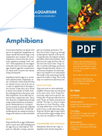 Amphibians EdFactSheet High