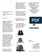 Triptico Llenado de Morrales