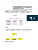 Tipos de Orgranigramas Peritocontador