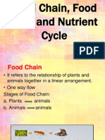 Food Chain Web and Nutrient Cycle Eco