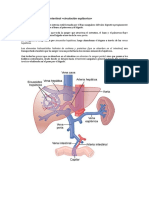 Fisiología Digestiva