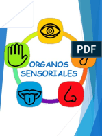 Organos Sensoriales