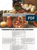 Olericultura Orgânica