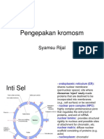 Pengepakan Kromosm: Syamsu Rijal