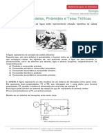 Exercícios de Cadeias, Pirâmides e Teias Tróficas