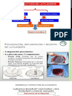 Presentación 1