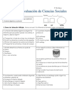 Prueba Sistema Digestivo 5 Año