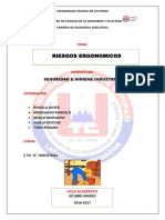 Informe Riesgos Ergonomicos