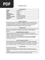 Informe Psicologico Unad