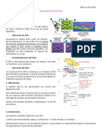 Diagnóstico Por Adn