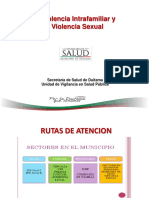 Presentacion Rutas de Atencion