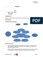 Session 4: Plant Tissues: Key Concepts