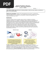 Uniones Químicas