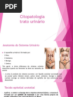 Aula13 - Citopatologia Urinaria