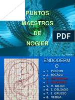 F. Auriculoterapia1 - Dr. Jorge Ivan Carvajal