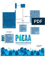 Mapa Conceptual PUEAA