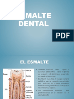 El Esmalte Dental