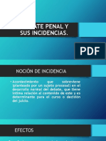 El Debate Penal y Sus Incidencias