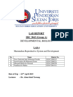 Lab Report 4 SBC