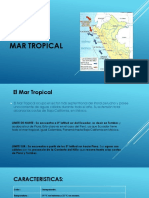 Mar Tropical.