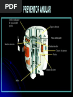 Preventor Anular