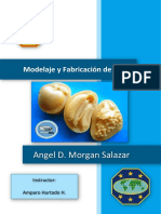 Especialidad Modelaje y Fabricación de Jabón - Angel Morgan Salazar