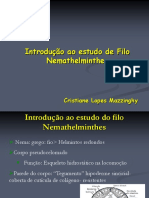 Aula 2 Ascarideos PDF