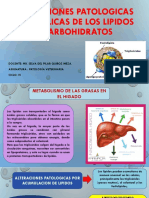 Alt. Pat. Met. de Lipids y Carbohidratos