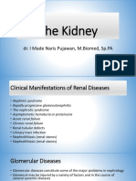 The Kidney: Dr. I Made Naris Pujawan, M.Biomed, SP - PA