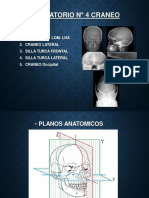 LAB #4 CRANEO Alumnos PDF