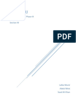 Parh Lo Financial Projections